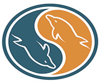 Создание резервной копии базы данных в MySQL